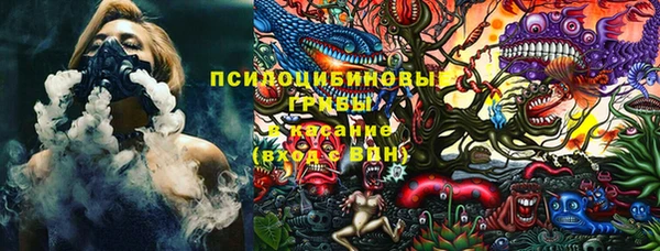 гидра Баксан