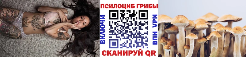 Псилоцибиновые грибы Psilocybine cubensis  Бор 