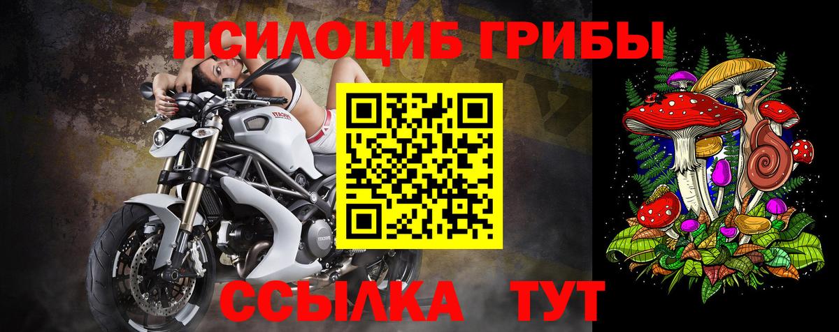 Галлюциногенные грибы Cubensis Бор